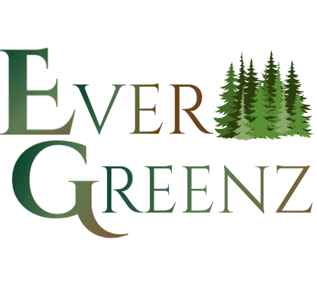EverGreenz Contracting Inc.