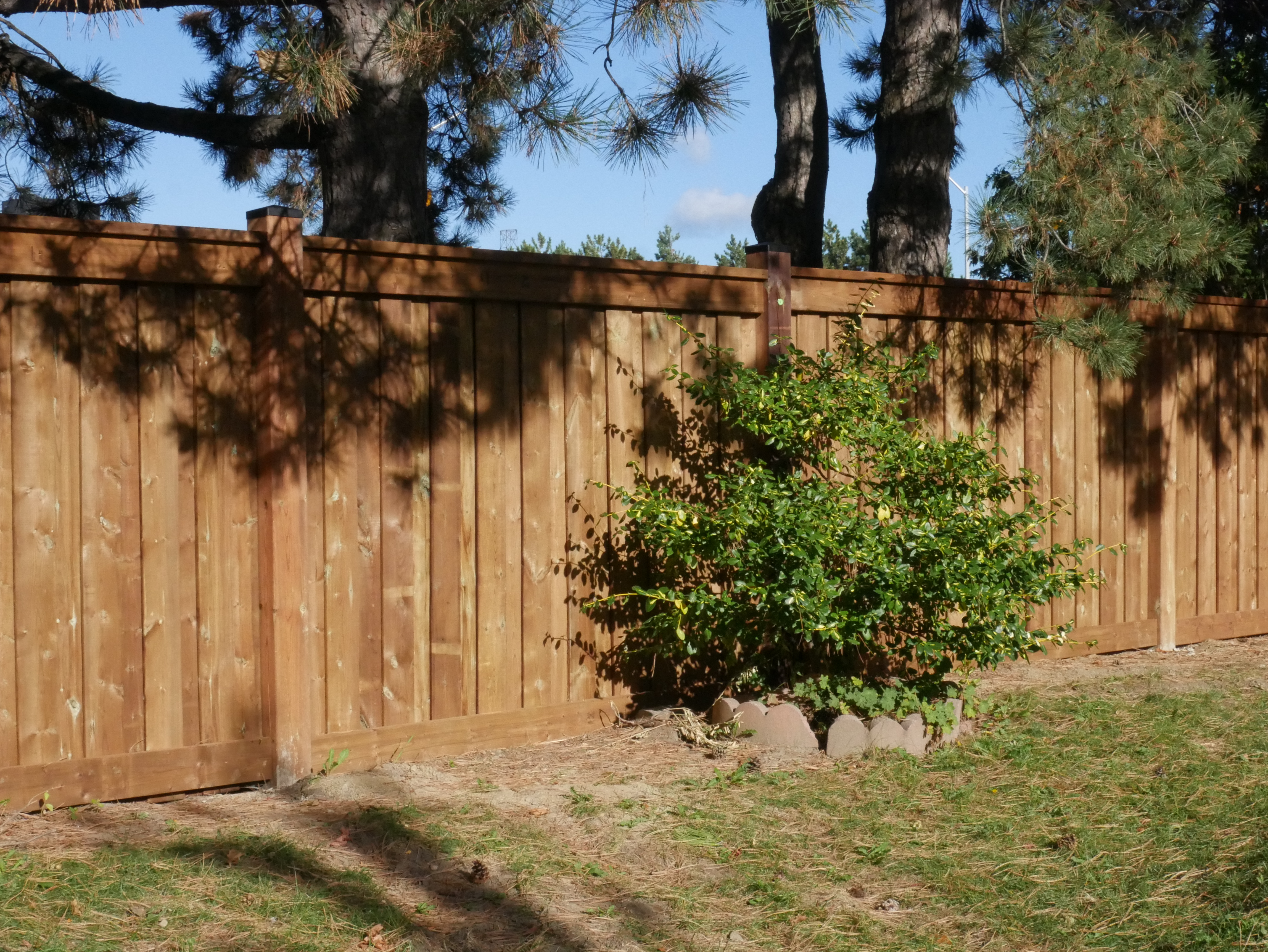 Large commercial fence project completed by EverGreenz Contracting