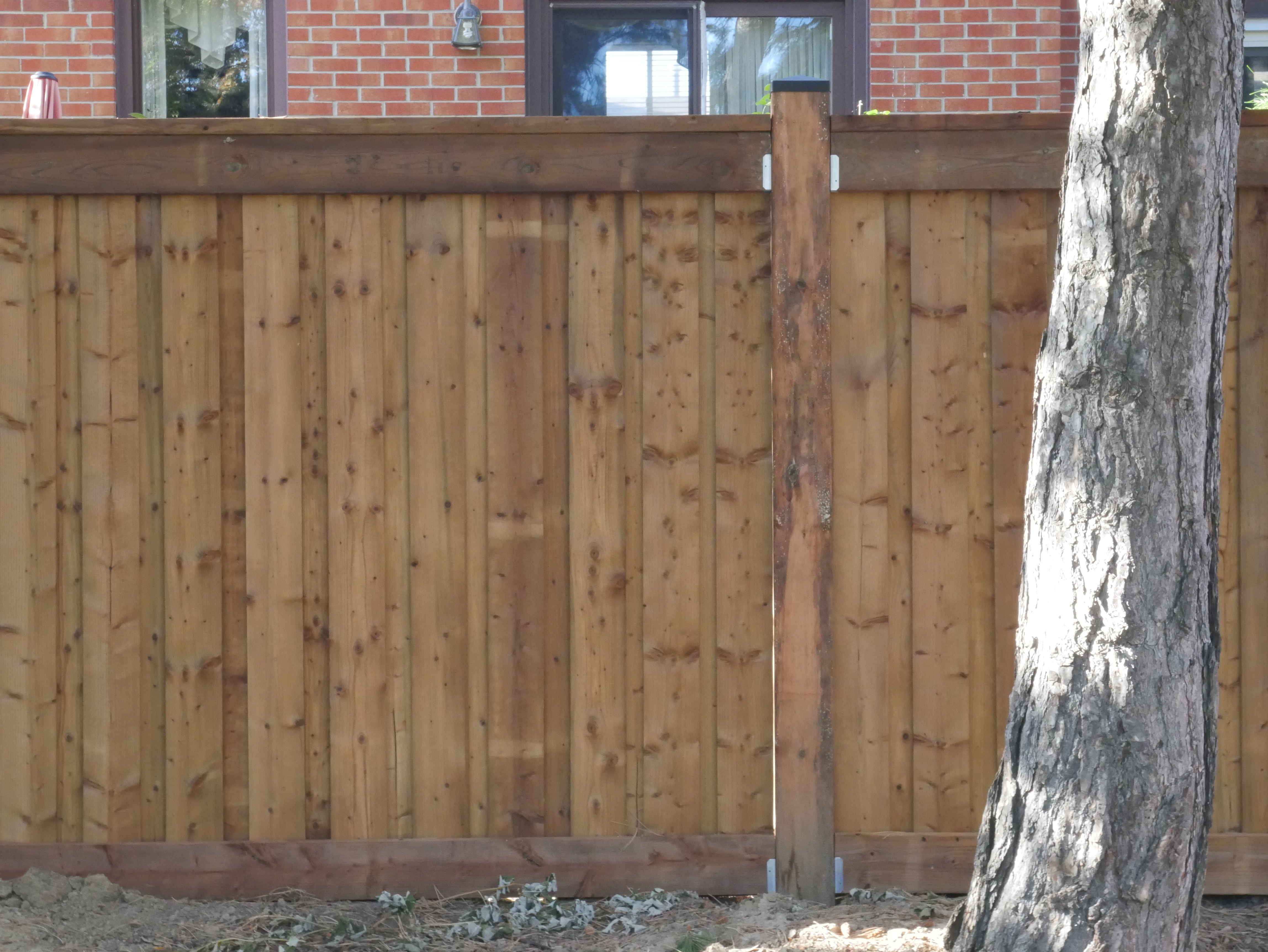 Freshly installed cedar fence showing clean craftsmanship