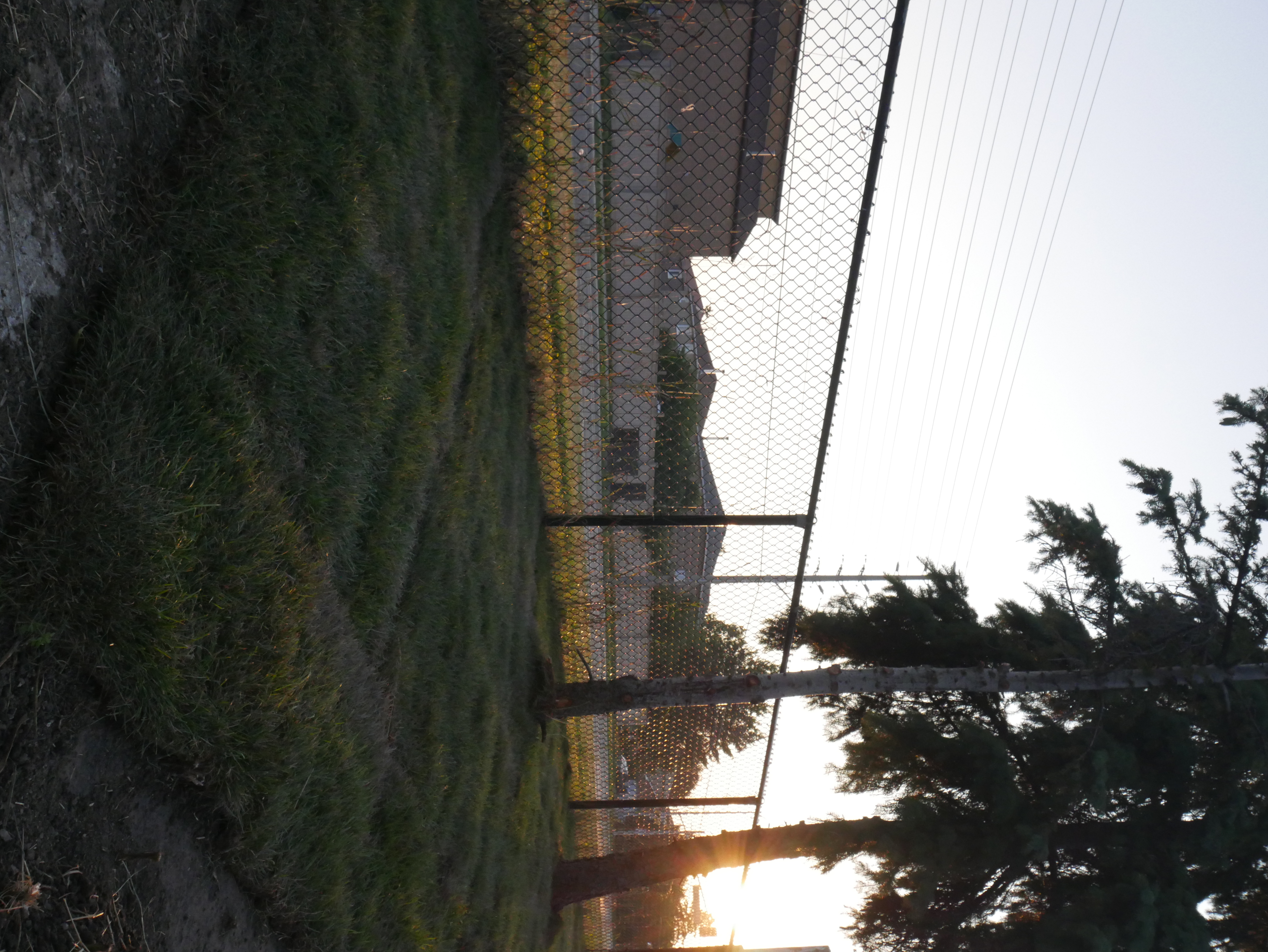 Sod Installation project example 1