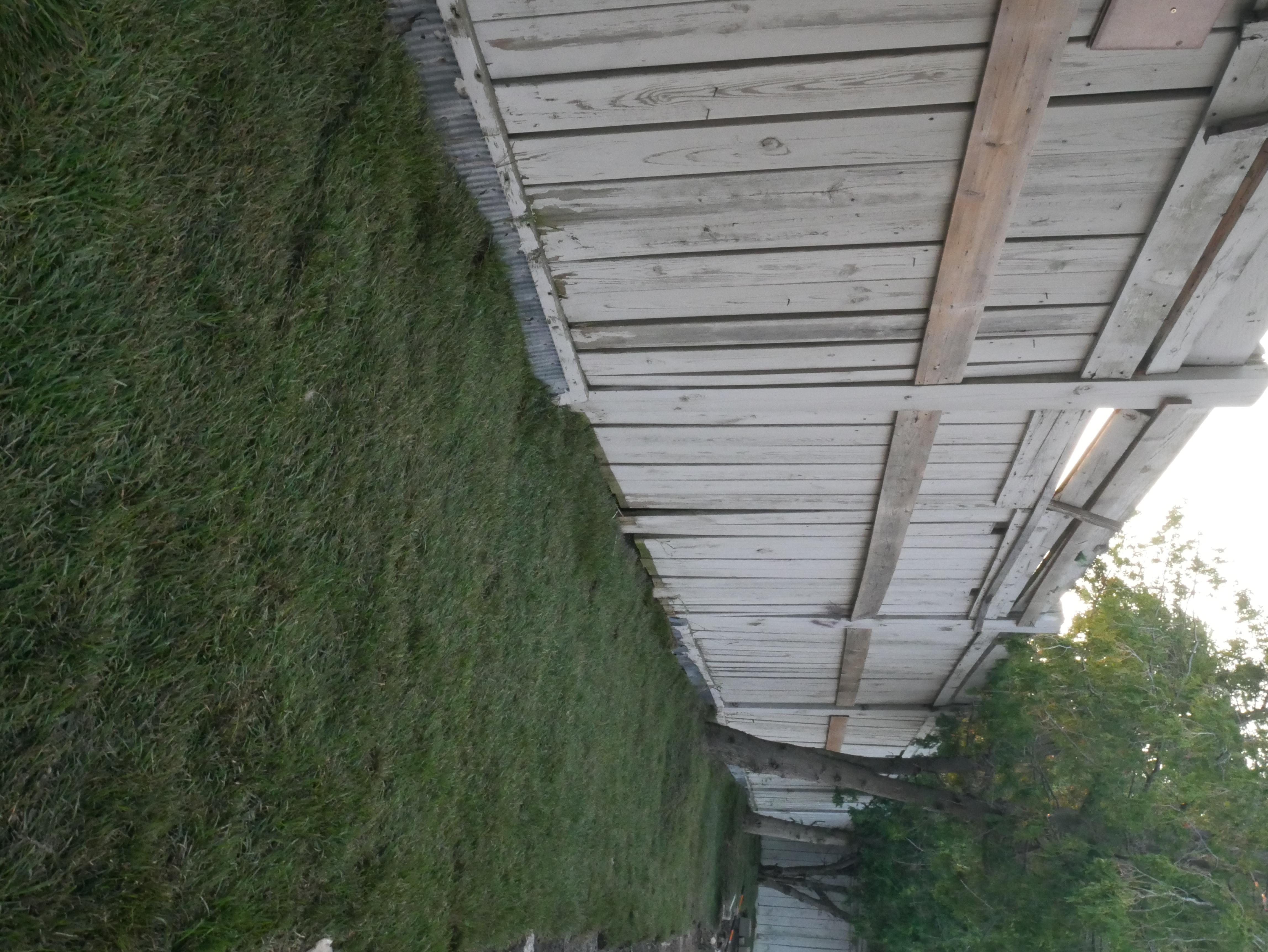 Sod Installation project example 2