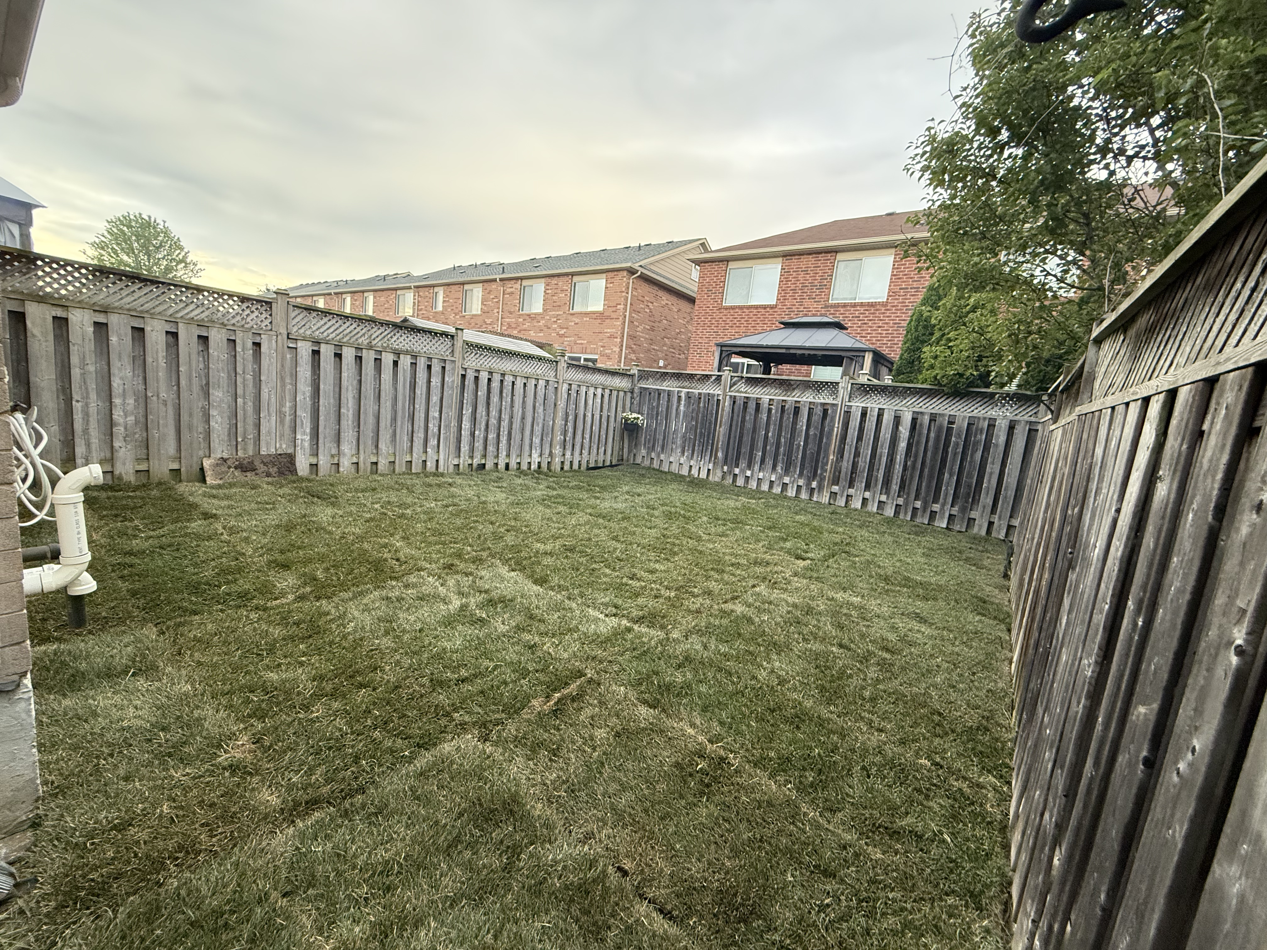 Sod Installation project example 4